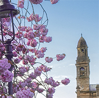 Spring evening Paisley